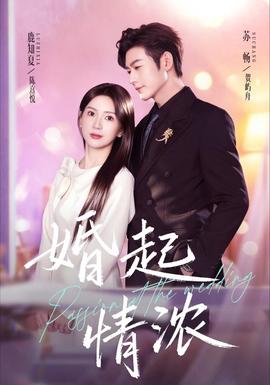 婚起情浓 海报