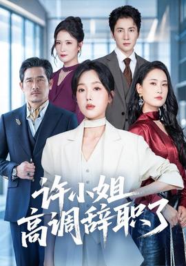 许小姐高调辞职了 海报