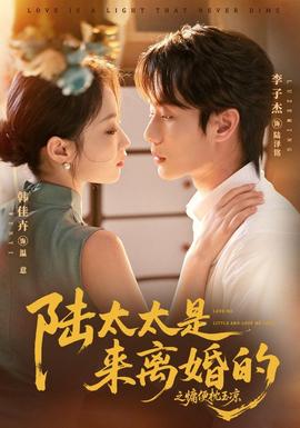 陆太太是来离婚的之慵便枕玉凉 海报
