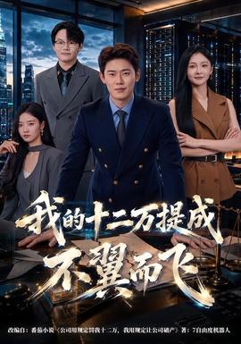我的十二万提成不翼而飞 海报