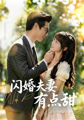闪婚夫妻有点甜 海报