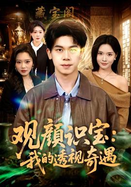 观颜识宝：我的透视奇遇 海报