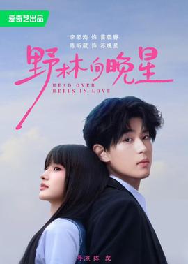 野林向晚星 海报