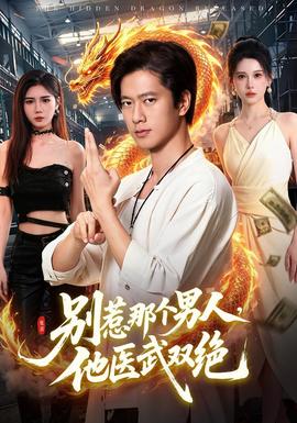 别惹那个男人，他医武双绝 海报