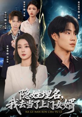 隐姓埋名，我去当了上门女婿 海报