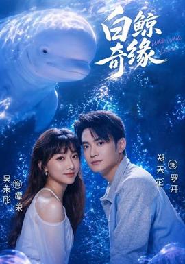 白鲸奇缘 海报