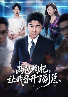 两包枸杞，让我晋升了副总 海报