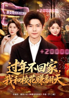 过年不回家，我和校花赚翻天 海报