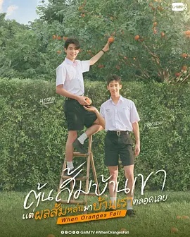 当橘子掉落时 海报