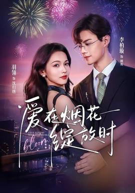 爱在烟花绽放时 海报