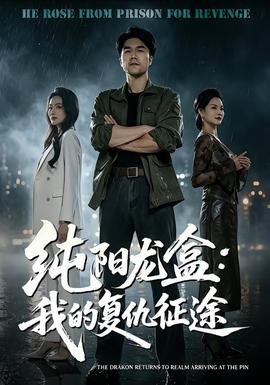 纯阳龙盒：我的复仇征途 海报