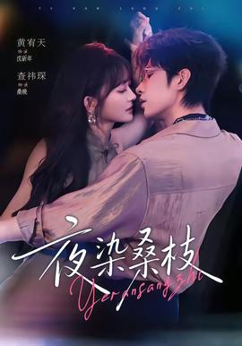 夜染桑枝 海报