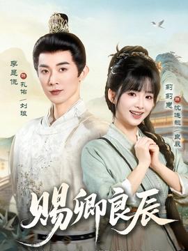 赐卿良辰 海报