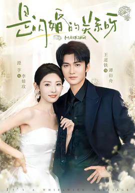 是闪婚的关系呀 海报