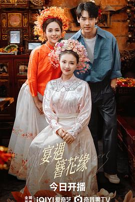 宴遇簪花缘 海报