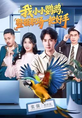 我小小鹦鹉，整顿职场一把好手 海报