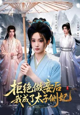拒绝做妾后我成了太子侧妃 海报