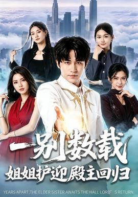 一别数载姐姐护迎殿主回归 海报