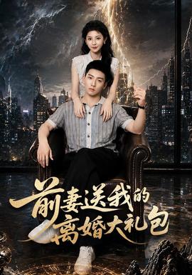 前妻送我的离婚大礼包 海报