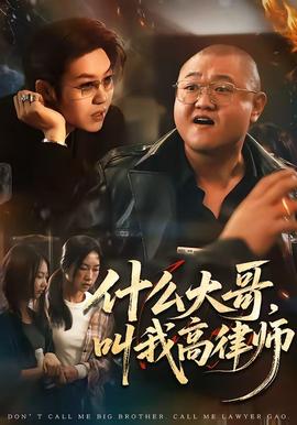 什么大哥，叫我高律师 海报