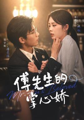 傅先生的掌心娇 海报