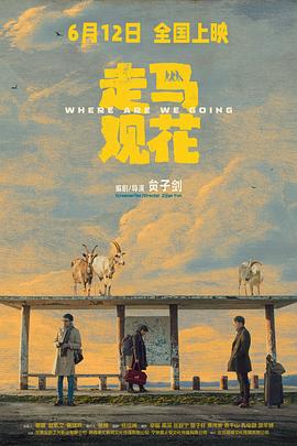 走马观花 海报