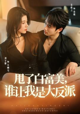 甩了白富美，谁让我是大反派 海报