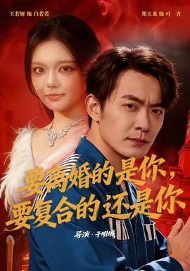 要离婚的是你，要复合的还是你 海报
