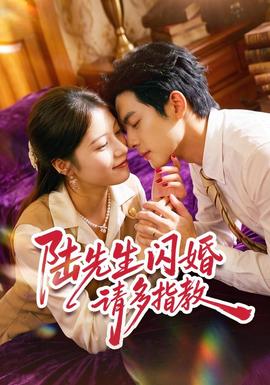 陆先生闪婚请多指教 海报