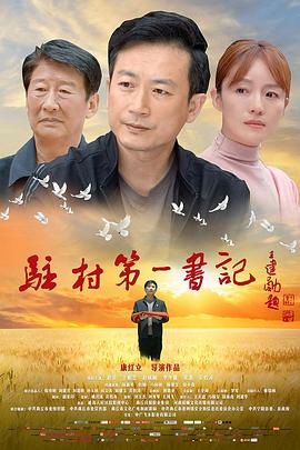 驻村第一书记 海报