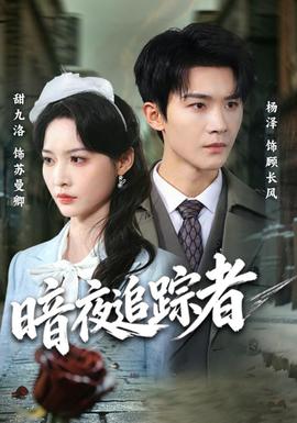 暗夜追踪者 海报