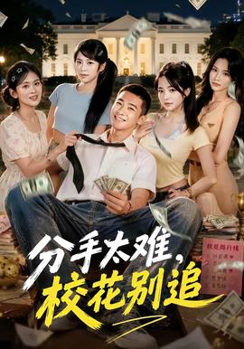 分手太难，校花别追 海报
