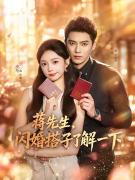 蒋先生，闪婚搭子了解一下 海报