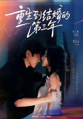 重生到结婚的第三年 海报
