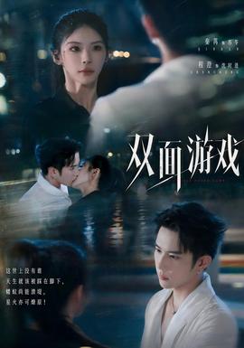 双面游戏 海报