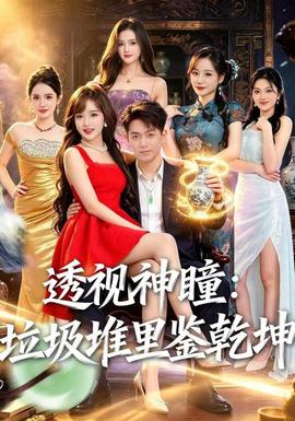 透视神瞳，垃圾堆里鉴乾坤 海报