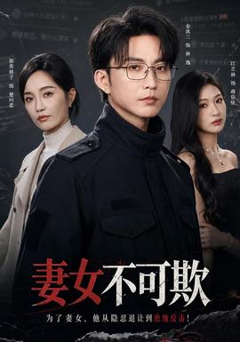 妻女不可欺 海报