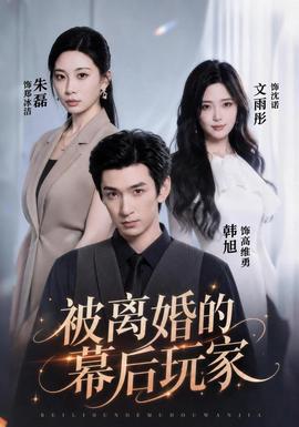 被离婚的幕后玩家 海报