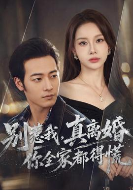 别惹我，真离婚你全家都得慌 海报