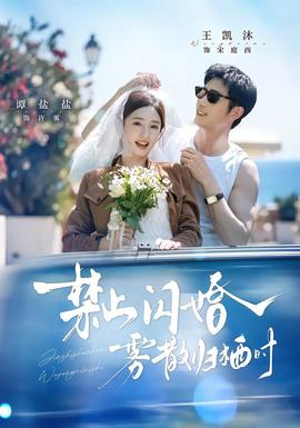 禁止闪婚，雾散归栖时 海报