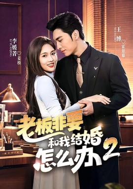 老板非要和我结婚怎么办第二季 海报