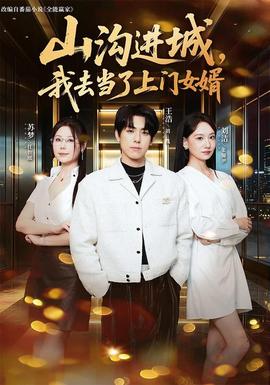 山沟进城，我去当了上门女婿 海报