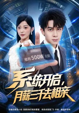系统开启，月薪三千去相亲 海报