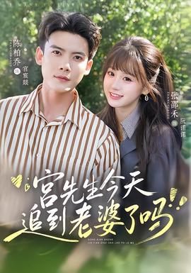 宫先生今天追到老婆了吗 海报