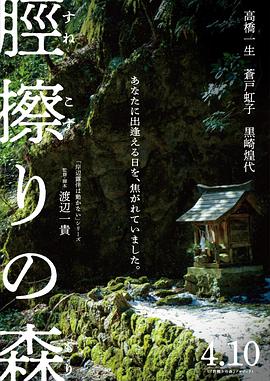 胫擦之森 海报