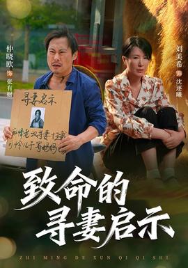 致命的寻妻启示 海报