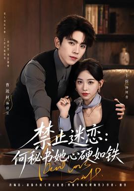 禁止迷恋：何秘书她心硬如铁 海报