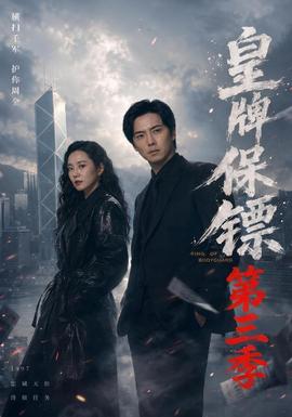 皇牌保镖第三季 海报