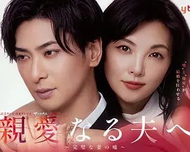 致亲爱的丈夫~完美妻子的谎言~ 海报