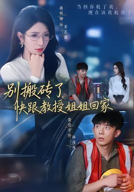 别搬砖了，快跟教授姐姐回家 海报